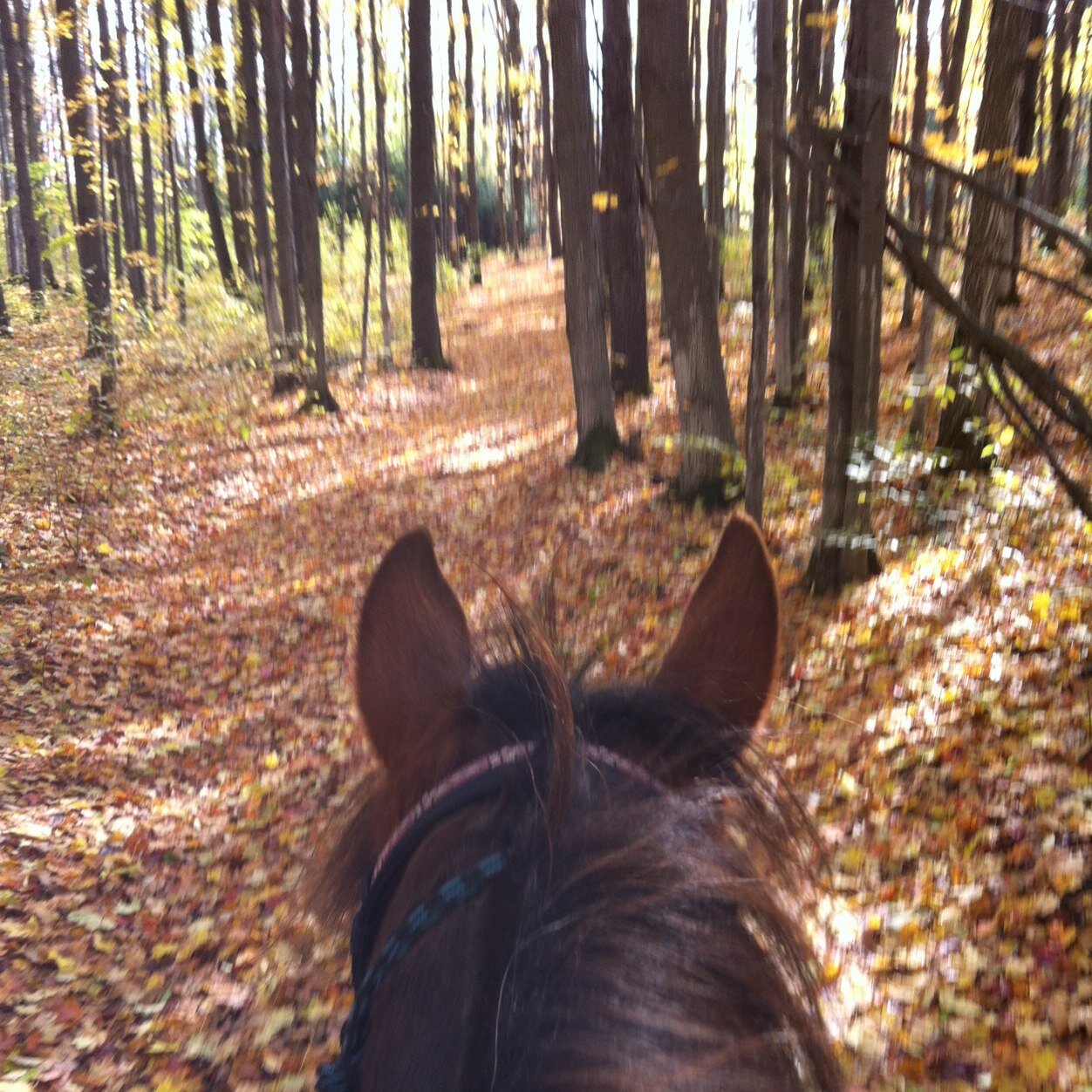 lfreet263's profile picture. 