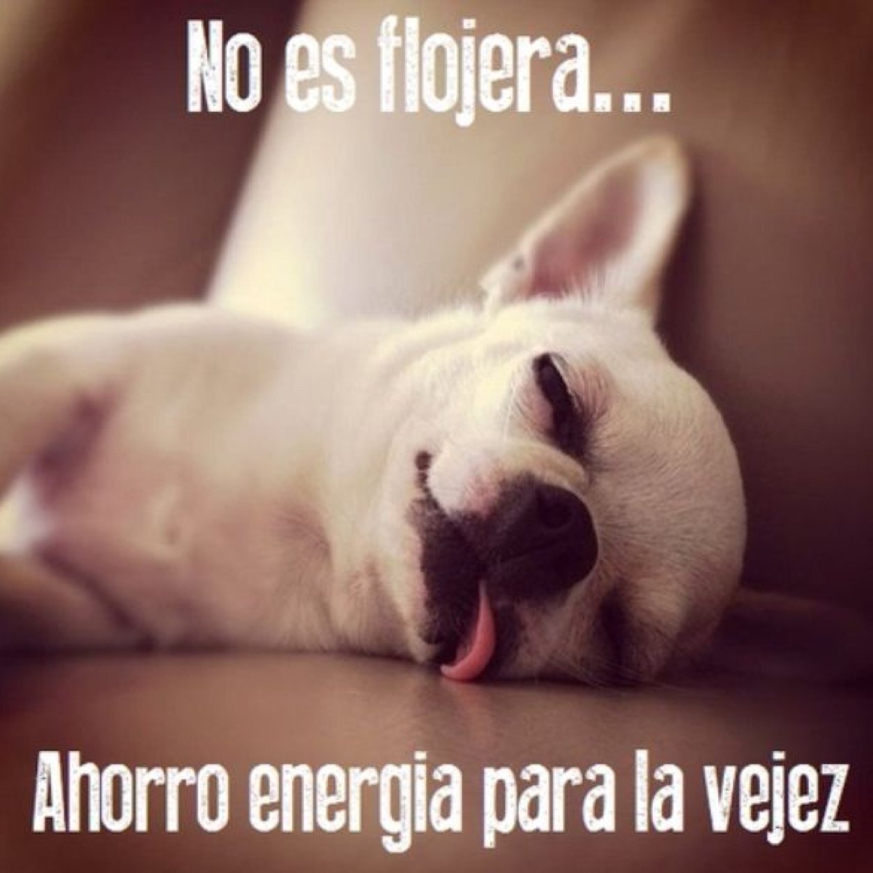 Araceliux29's profile picture. 