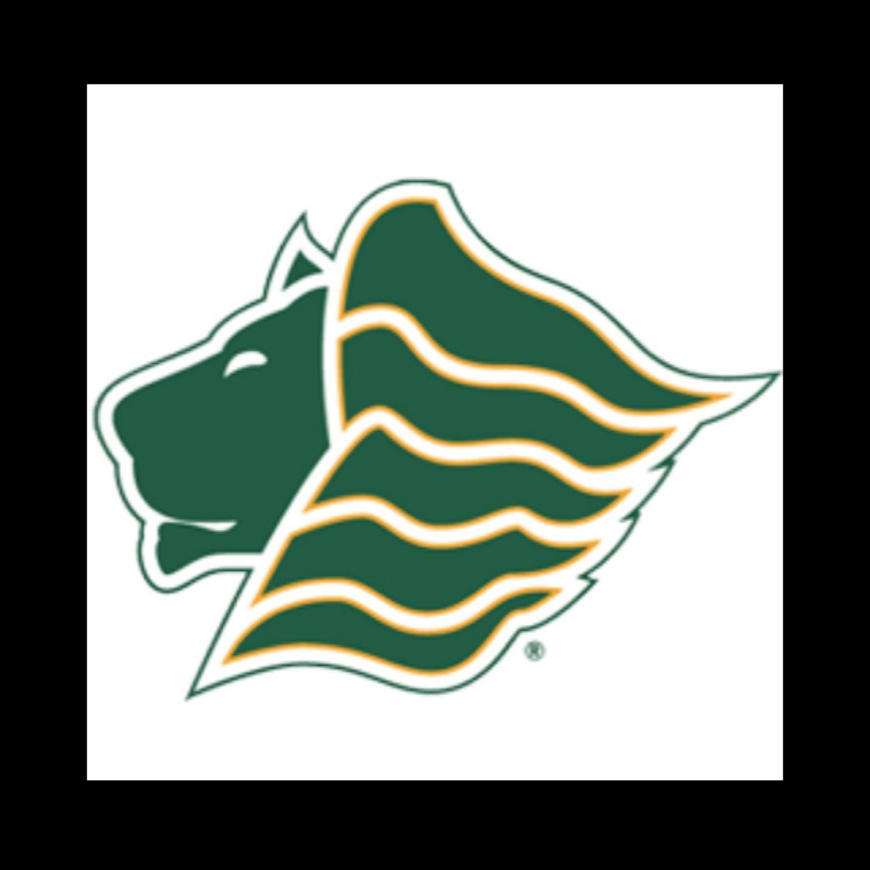 Caribbean Students Association at Saint Leo University.