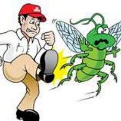 We have the solutions to your pest problems!