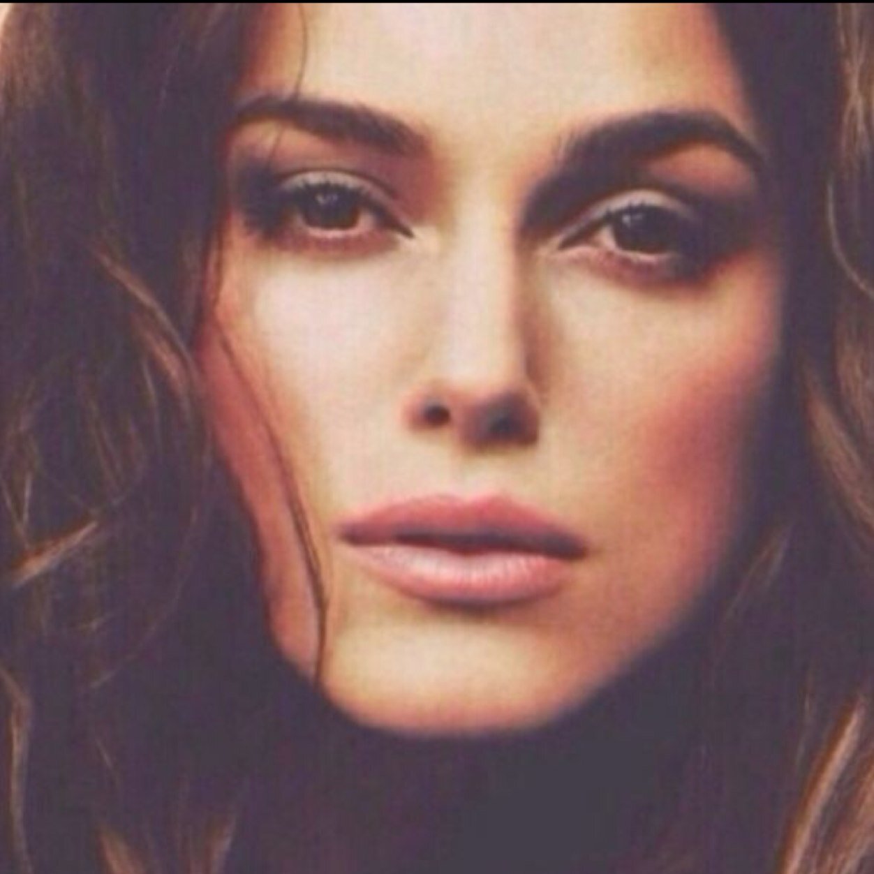 555mole's profile picture. 