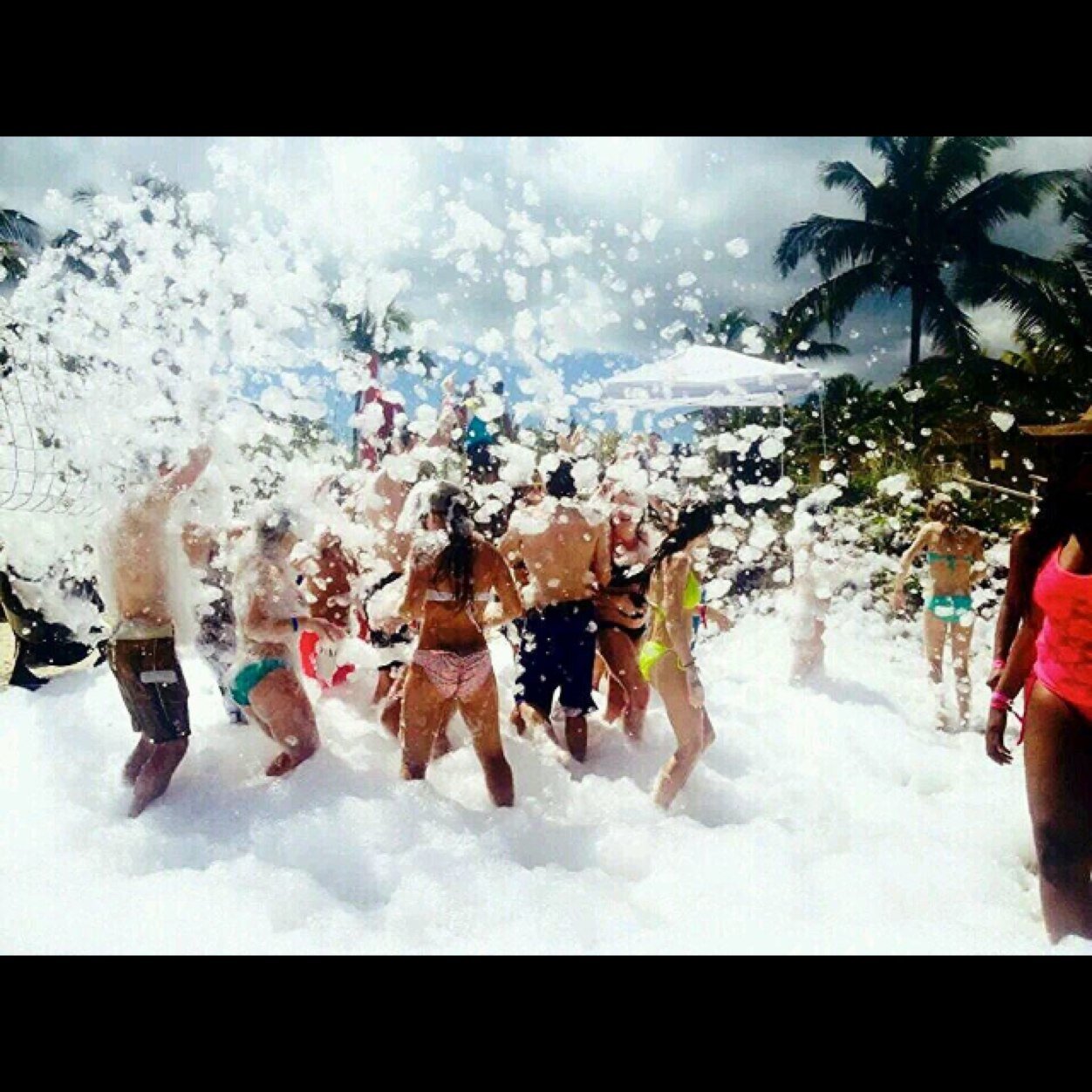 cpssgradtrip's profile picture. turn up