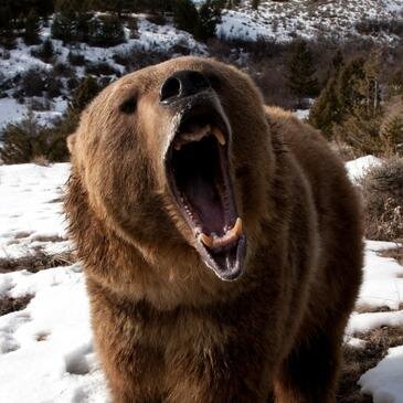 ForrestPowars's profile picture. The Lord is my Shepherd!