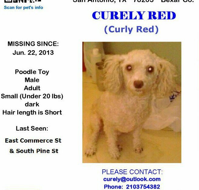 PicquetTp's profile picture. 