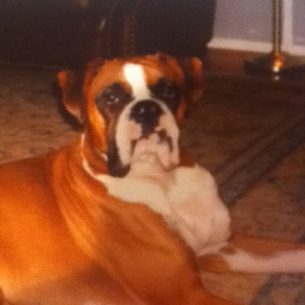 Elizabe30959753's profile picture. 