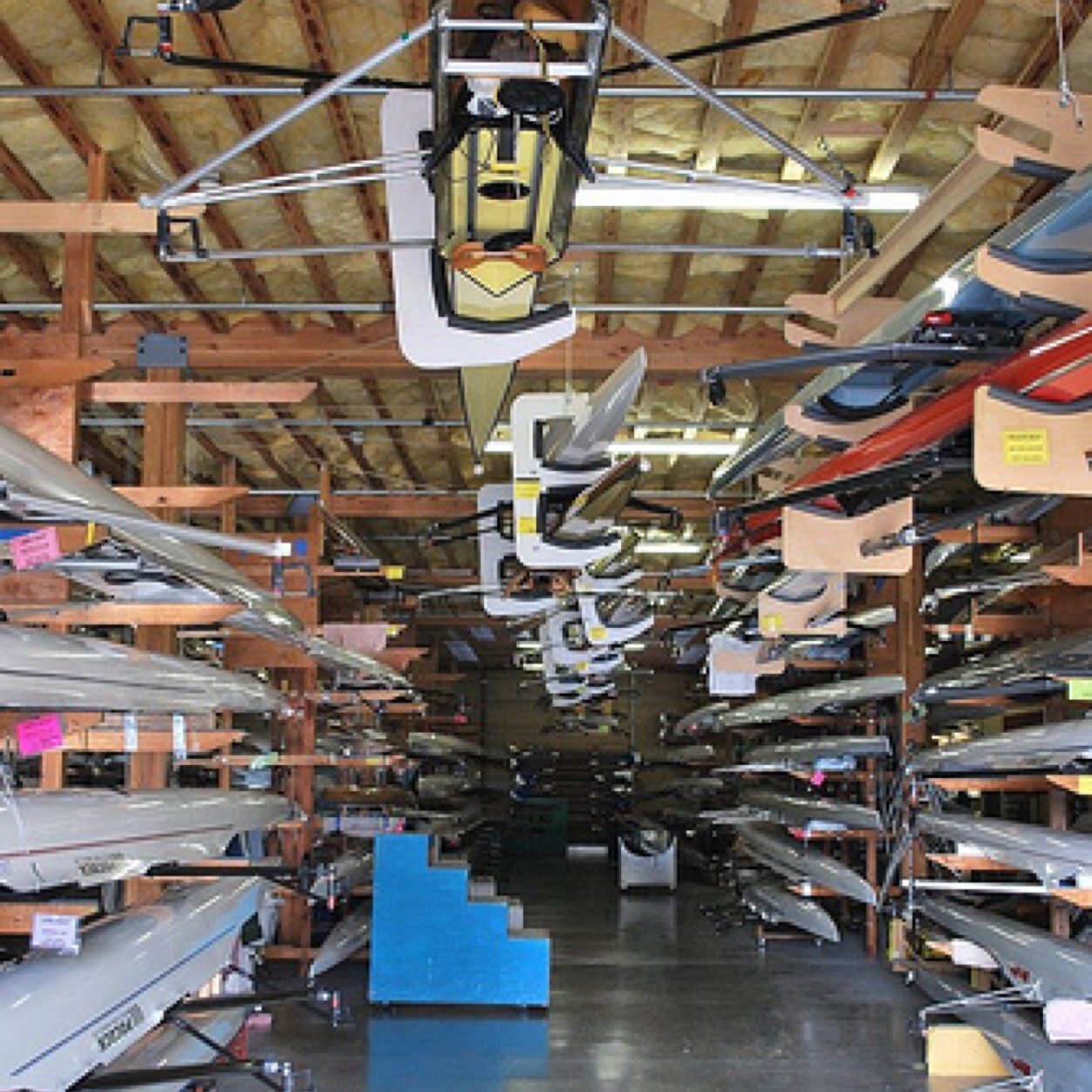 justrowbitches's profile picture. official twitter for the instagram account @whatsrowing - we are here to fuck shit up