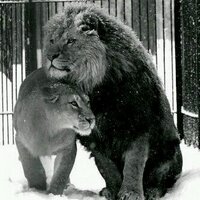 Nasir G (@gennasir) 's Twitter Profile