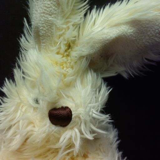 EasterMystery's profile picture. From Chíle.