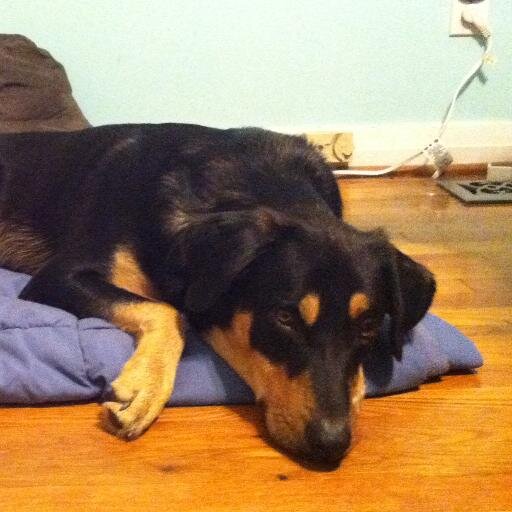 ProfoundWords's profile picture. A beer lover with a passion for archaeology :)