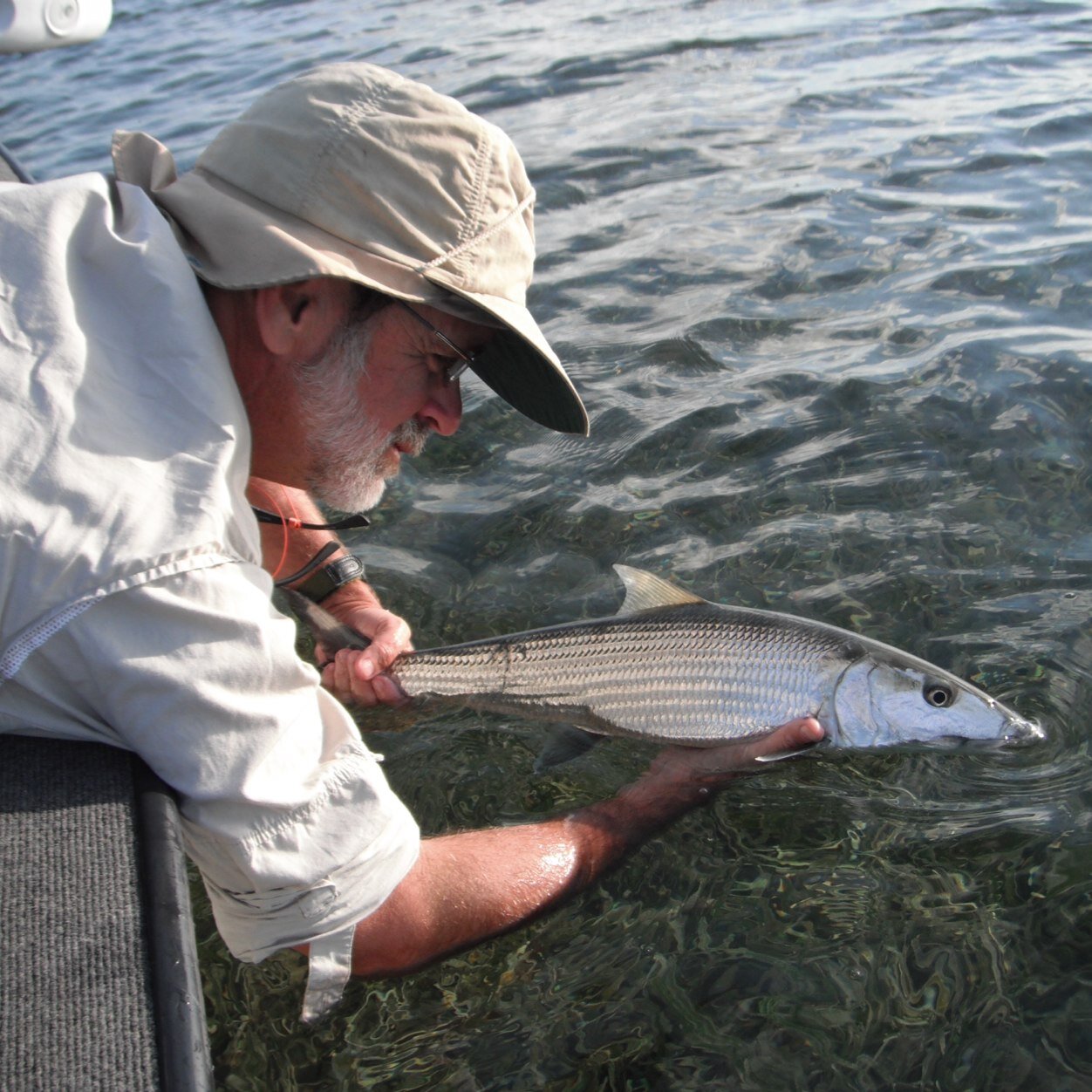 bonefly1's profile picture. 