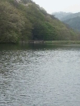 jscl09040's profile picture. 