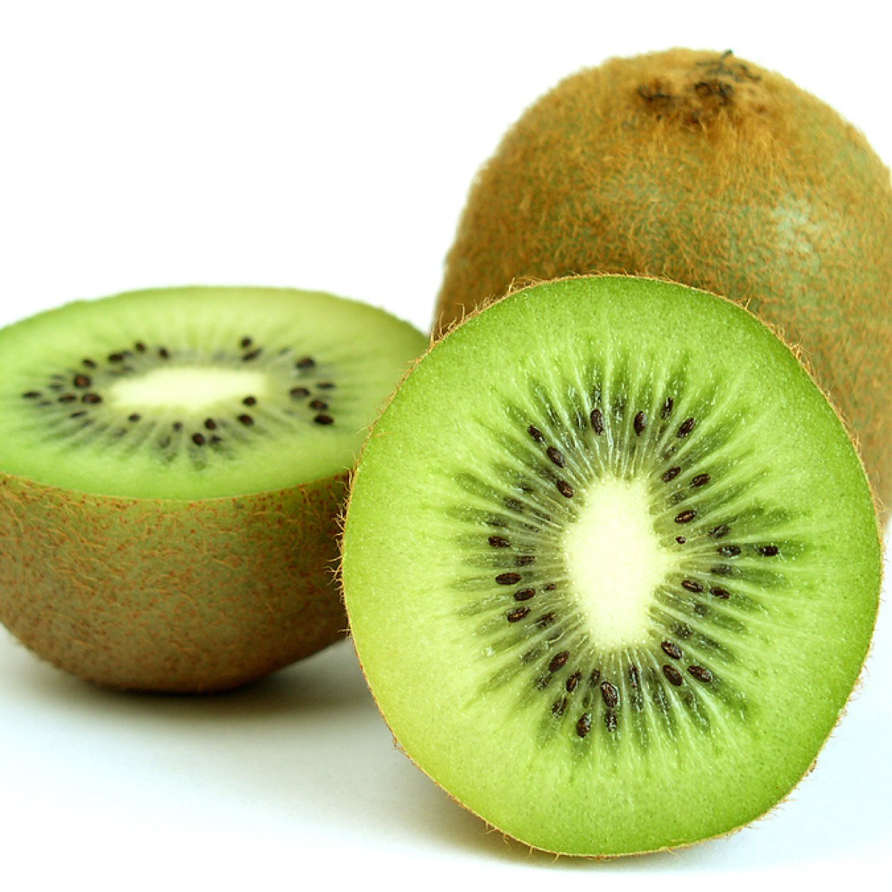 kiwisaregreat's profile picture. man i really love kiwis