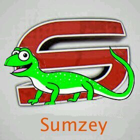 Never give up GT: Sumzey