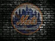 Passionate, knowledgable, opinionated, life-long Mets/Giants fan.