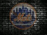 Passionate, knowledgable, opinionated, life-long Mets fan.