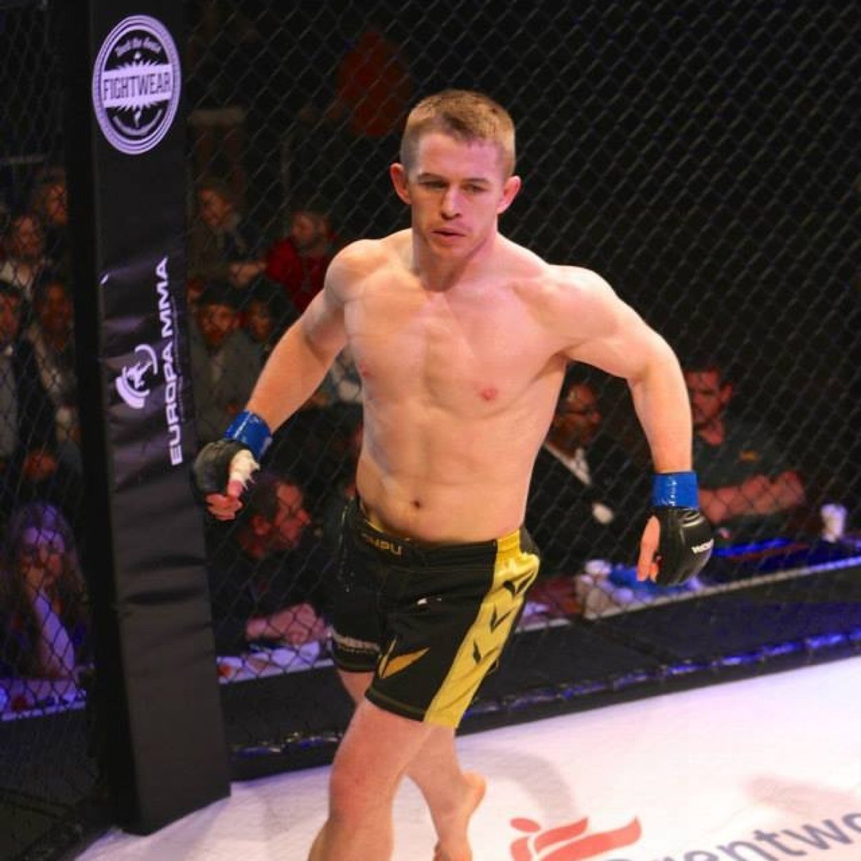 thedisgraceST's profile picture. Unadulterated disgraceful shenanigans