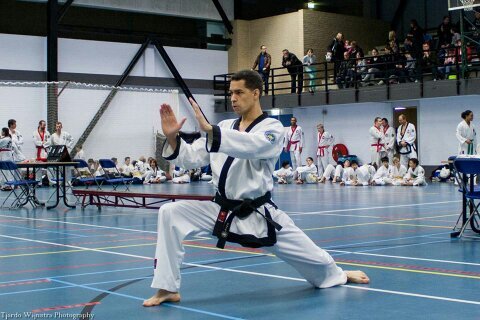 Tai chi, Philosophy, Tang Soo Do  trading Forex,