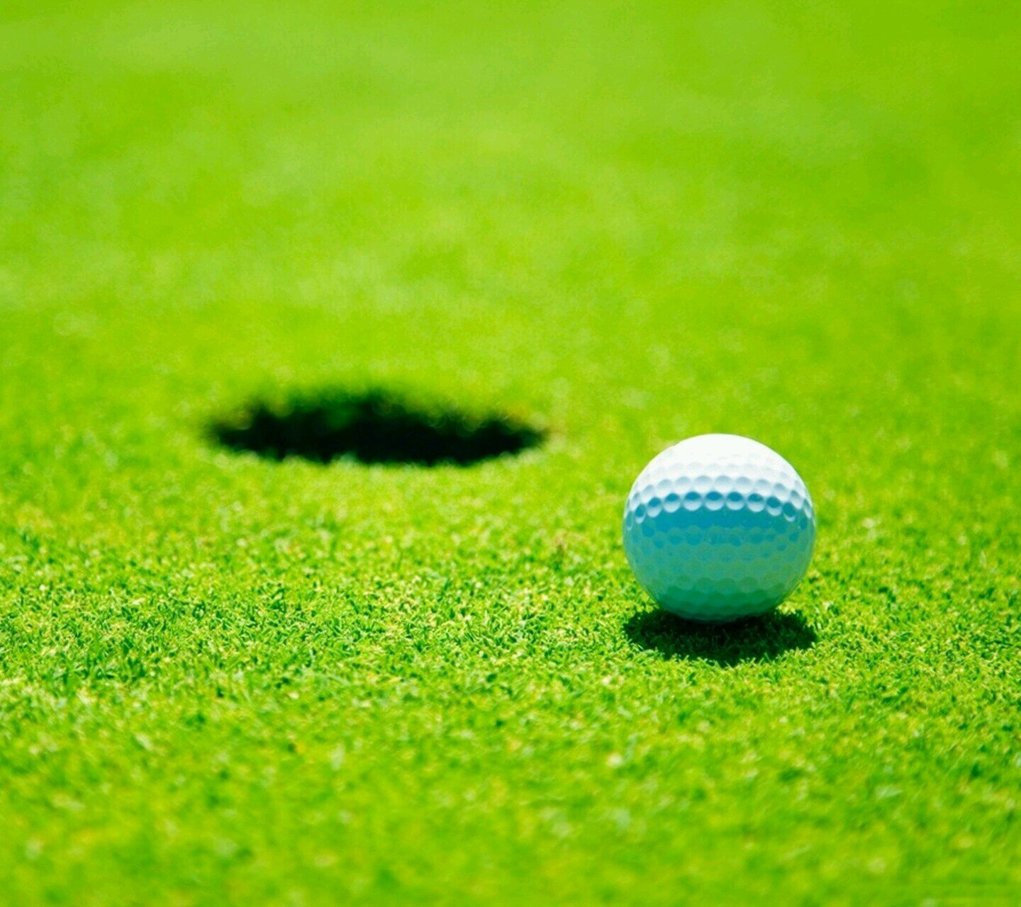 We offer Advertising cubes that are placed on flagsticks.
