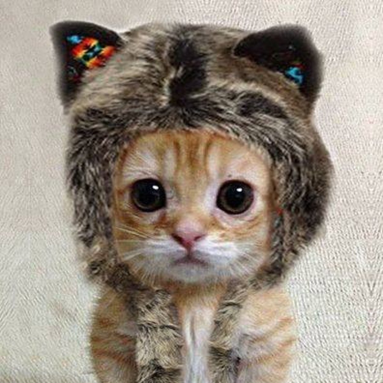 DezzySeitz's profile picture. 