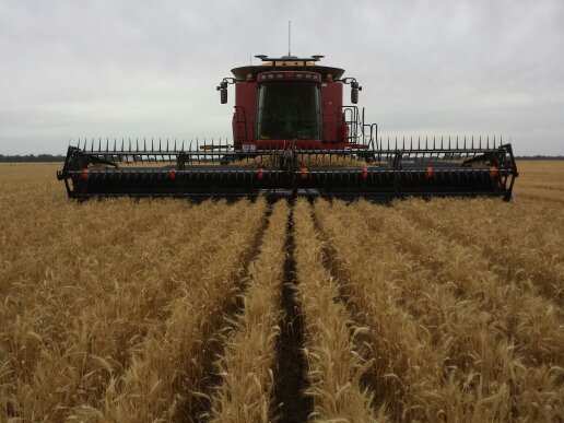 Family farm growing crops in the Wimmera with no-till and CTF