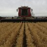 TeasdaleAg's profile picture. Family farm growing crops in the Wimmera with no-till and CTF