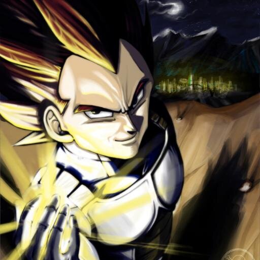 Princevegeta31 Profile Picture