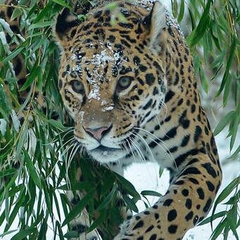 Follow For Stunning Views Of Our Planet