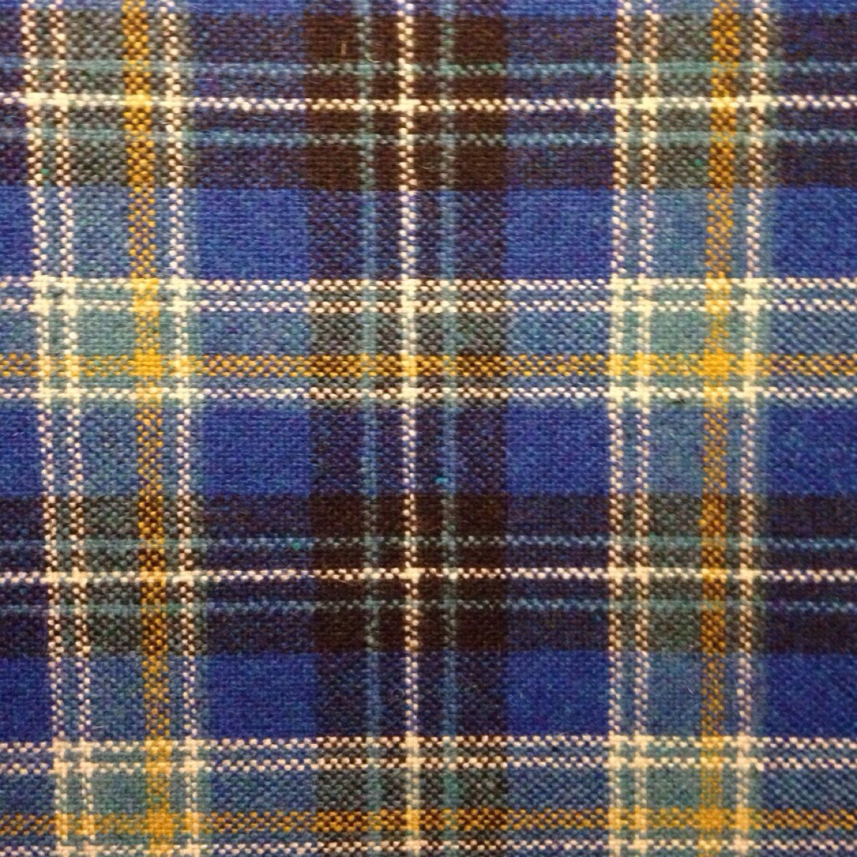 plaidform's profile picture. 