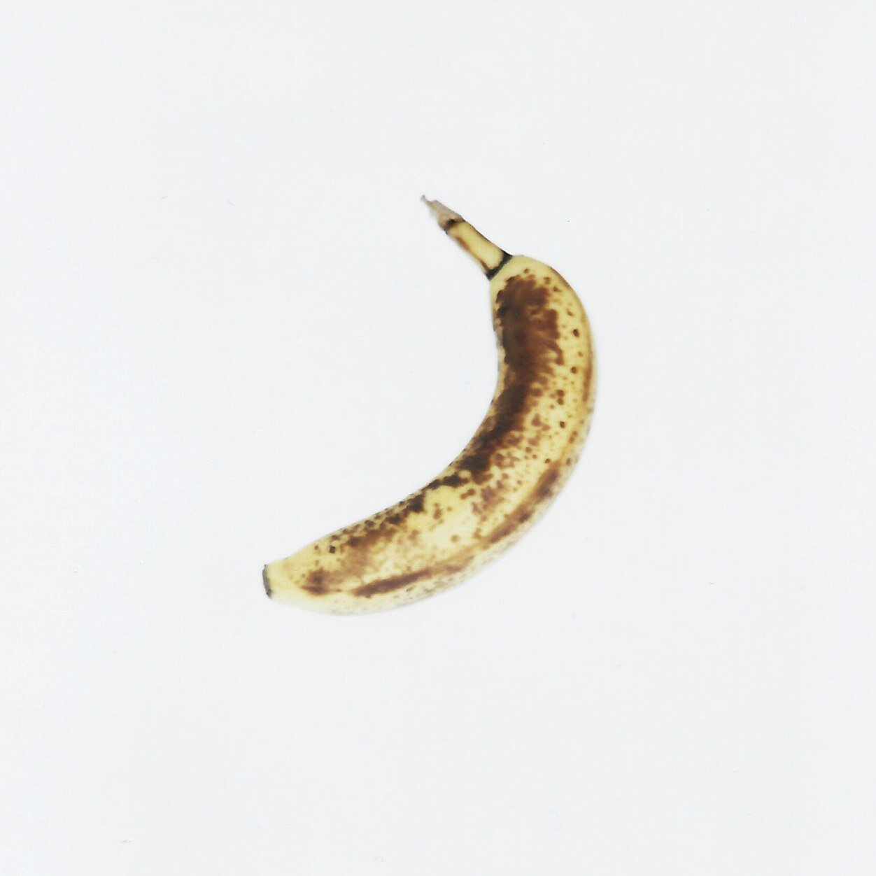 Bradley_Lennon's profile picture. Artist