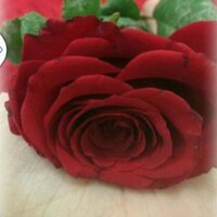 talal (@talal990) 's Twitter Profile