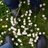 StrungAlongLLC's profile image