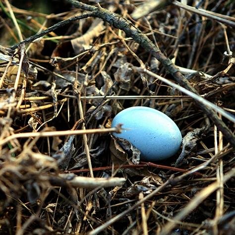 kkung1149's profile picture. 사진,그림을 좋아해요