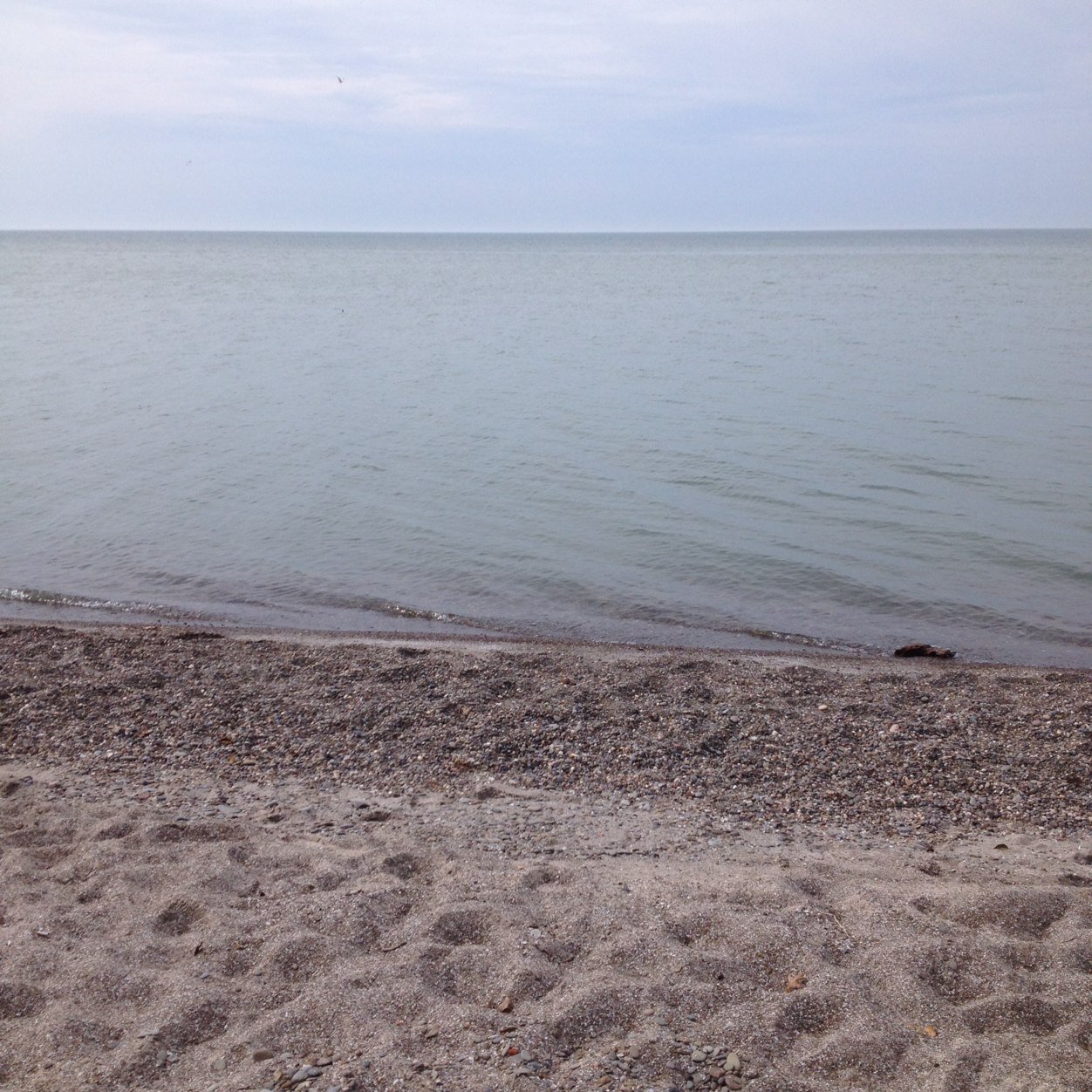 mindthequiet's profile picture. 