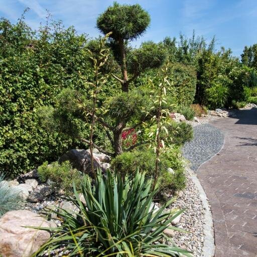 Gartenbonsai und ausgewählte Formgehölze als Garanten für ein ganz besonderes Ambiente im eigenen Garten.