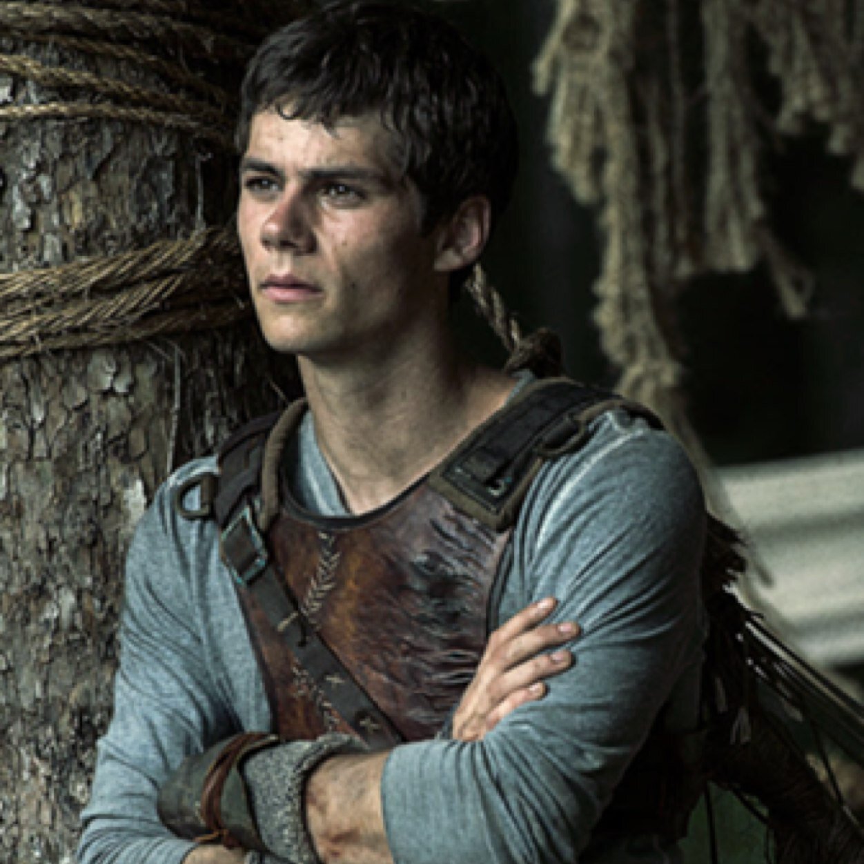 Dashnerarmy_VA's profile picture. 