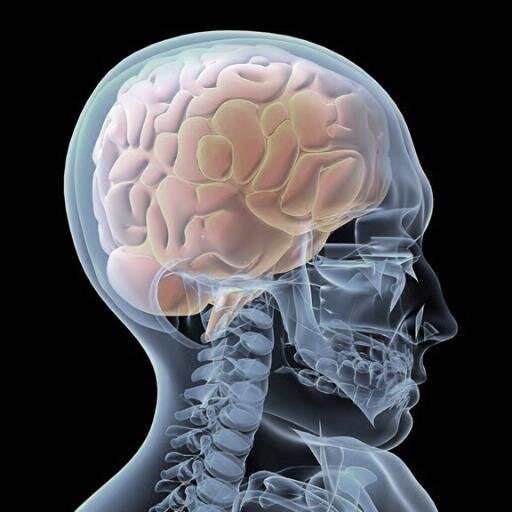 BTumour_fighter Profile Picture
