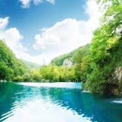 RobertDorris's profile picture. i love twitter!