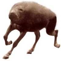 Kent (@hoopsquart) 's Twitter Profile