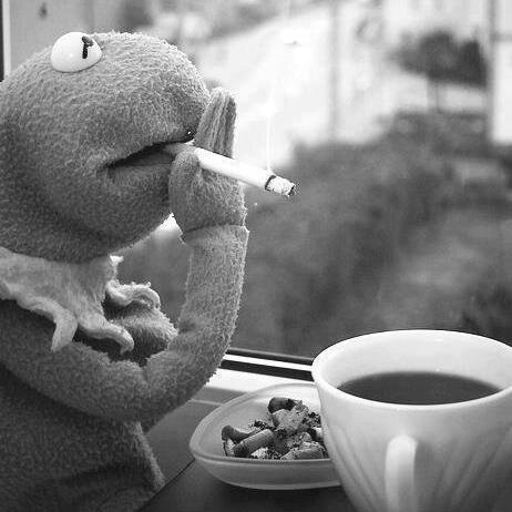 KoulaKas22's profile picture. Human