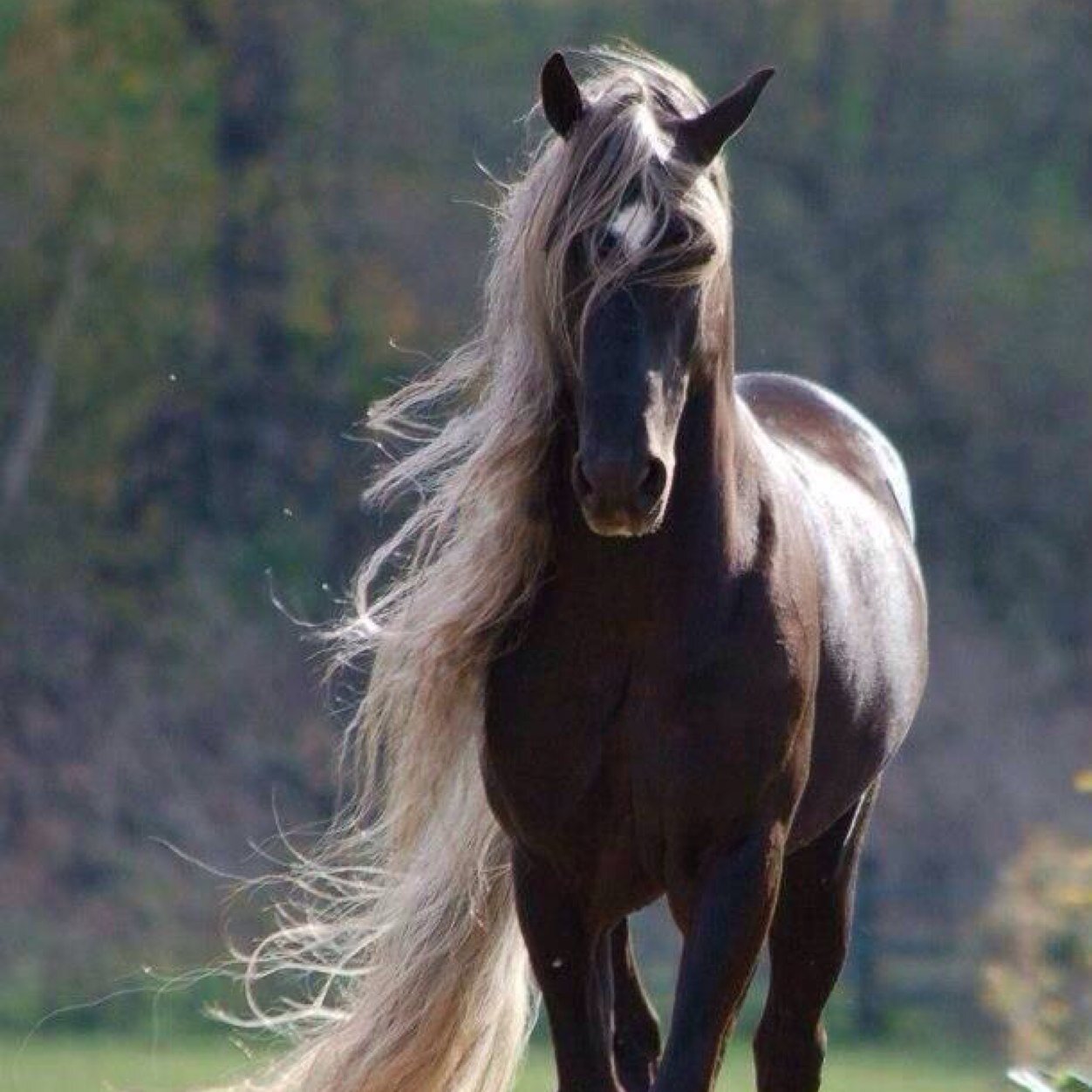 AMorganmac's profile picture. 