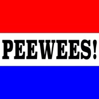 立命館大学応援団チアリーダー部PWS! (@peewees_rits) 's Twitter Profile