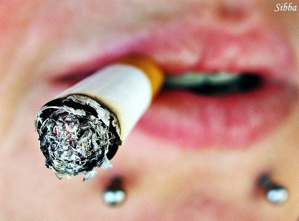 sebagian dari bayak penikmat rokok,,