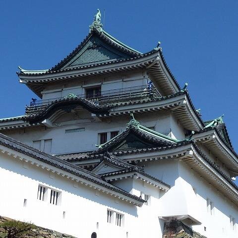 うどん県があるならば、私の愛するこの県は間違いなくみかん県でしょう。梅と柿も捨てがたいそんな暖かい気候の和歌山県。夏はやっぱり南紀白浜！そんな生粋の和歌山県大好きっこなわたくしによる和歌山県の情報発信Twitterアカウントです。フォローやRTしてくれたら喜びます！