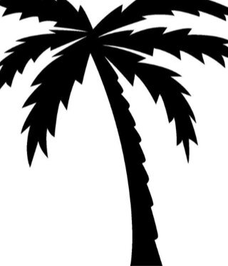 Latest photos and information for Huntington Beach.