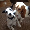 Debbie Grantham - @geoff_debbie - Twitter