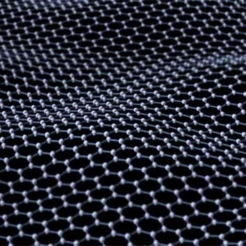 BerthaGibson18's profile picture. 