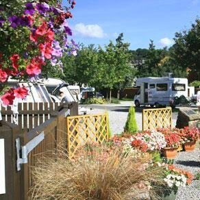 SaveBristolCamp's profile picture. 