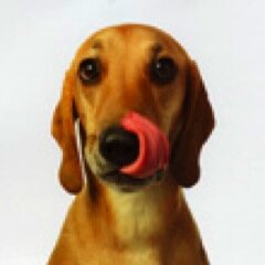 HallRpeter's profile picture. 