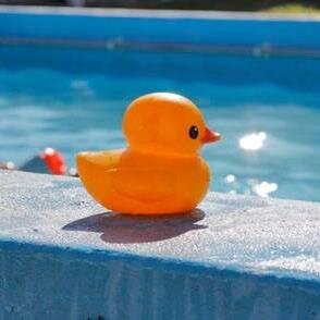 FindonPool's profile picture. Situated in the heart of the picturesque village of Findon. Findon Swimming Pool is run by local people, fully heated and is open to all....