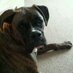 Lee george Godwin (@lgodwin89) Twitter profile photo